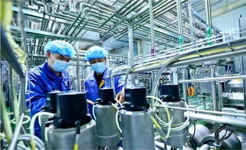 蘭州新區國慶假期生產不打烊，全力趕制訂單保障西安網絡需求